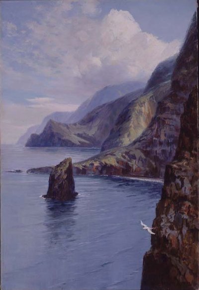 Molokai Bluffs, Hawaii by D. Howard Hitchcock
